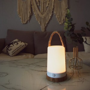 Lampe De Barbecue LED Portable - 10 LEDs, 120 Lm, étanche, Parfaite Pour Camping Et Soirées Extérieures